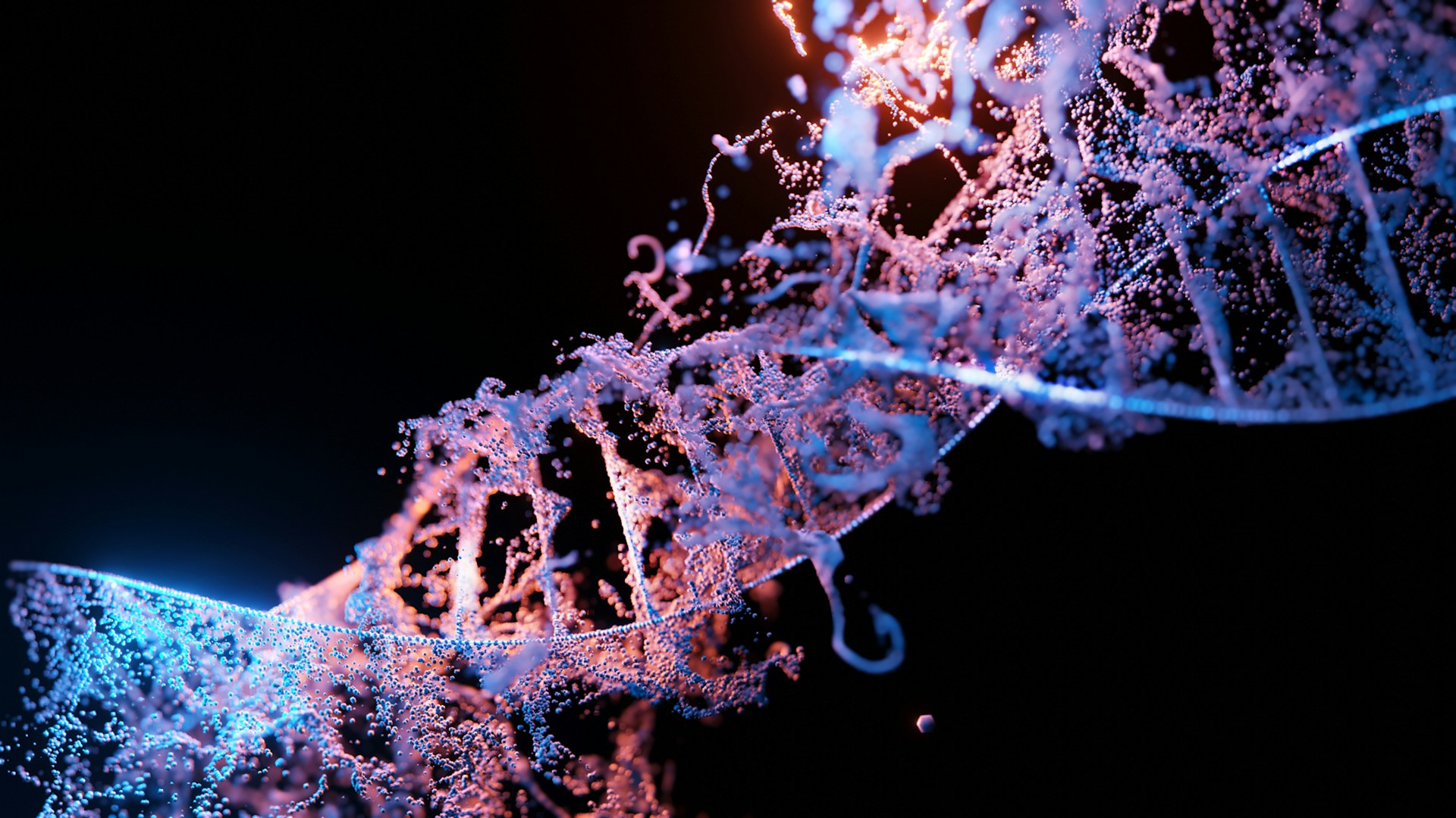 DNA